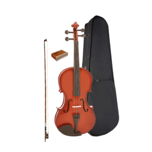 Viola Clássica Zellmer 40 Completa Ajustada Luthier