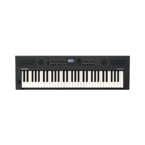 Teclado Roland GoKeys-5 GT 61 Teclas MIDI Bluetooth Grafite